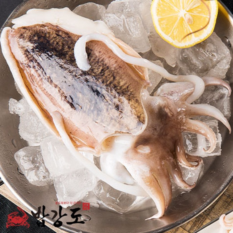 [밥강도]  손질 갑오징어 (200g ~ 500g)